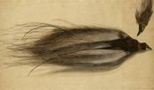 Zacharias Wehme, Toter Paradiesvogel, um 1580/90 Toter Eisvogel