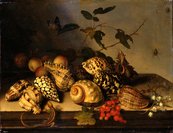 Balthasar van der Ast, Meeresschnecken und Früchte Muscheln, Früchte und Blüten auf einem Tisch, dazu ein Schmetterling, zwei Spinnen und ein kleines Reptil